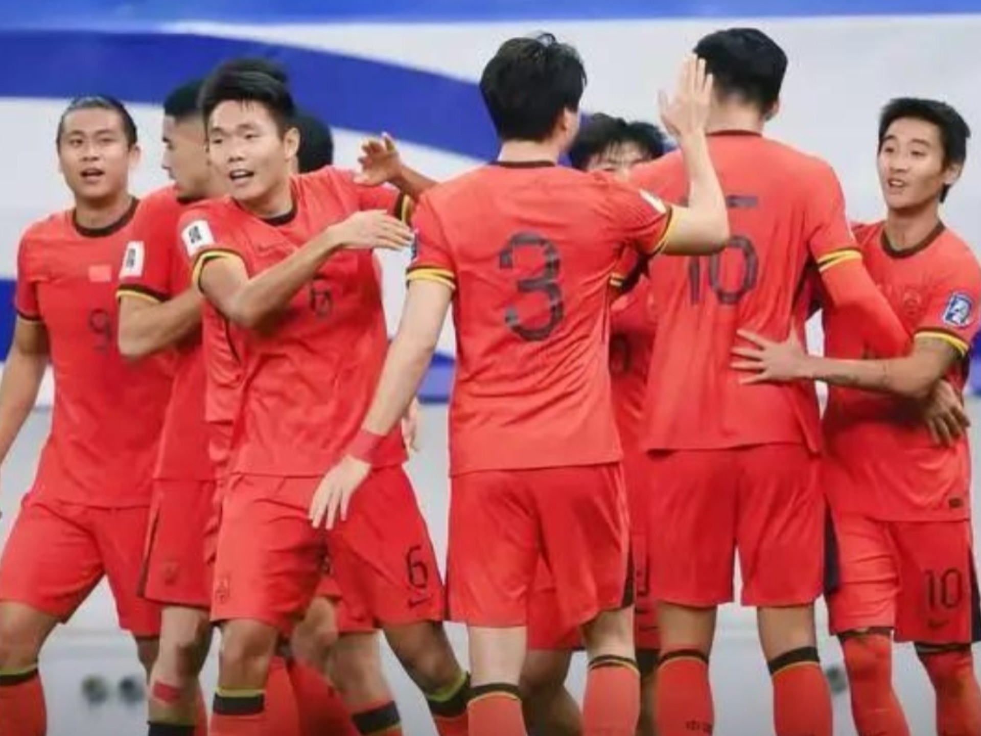 他们都只专 他们都只专