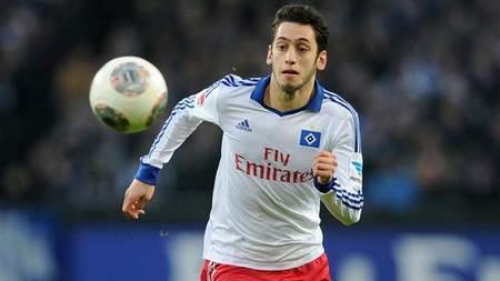 制定了针对 制定了针对