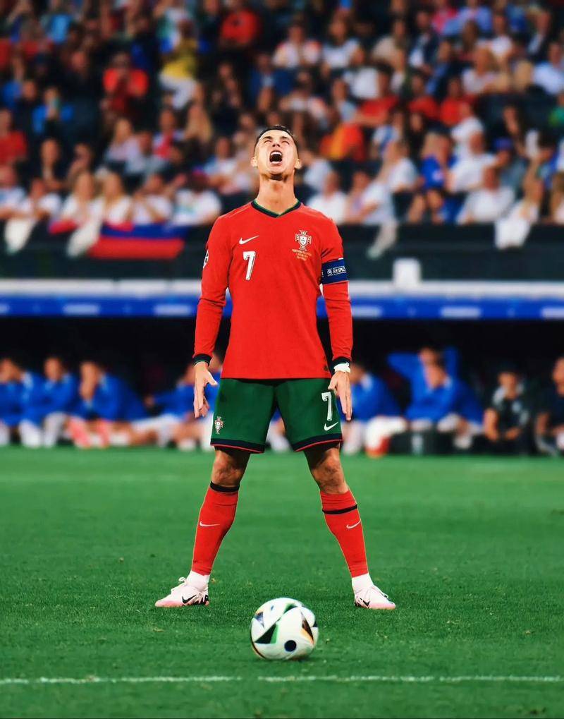 公平与安全 公平与安全