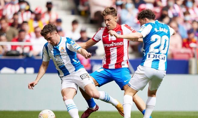 高达六成 高达六成