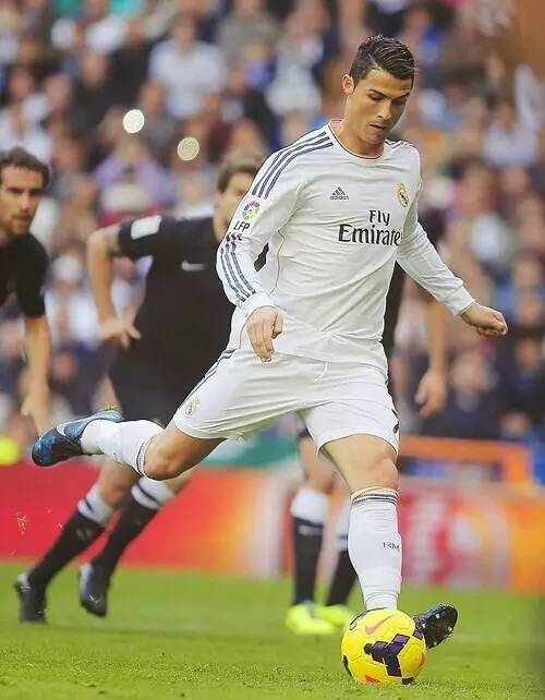 西的不悦 西的不悦